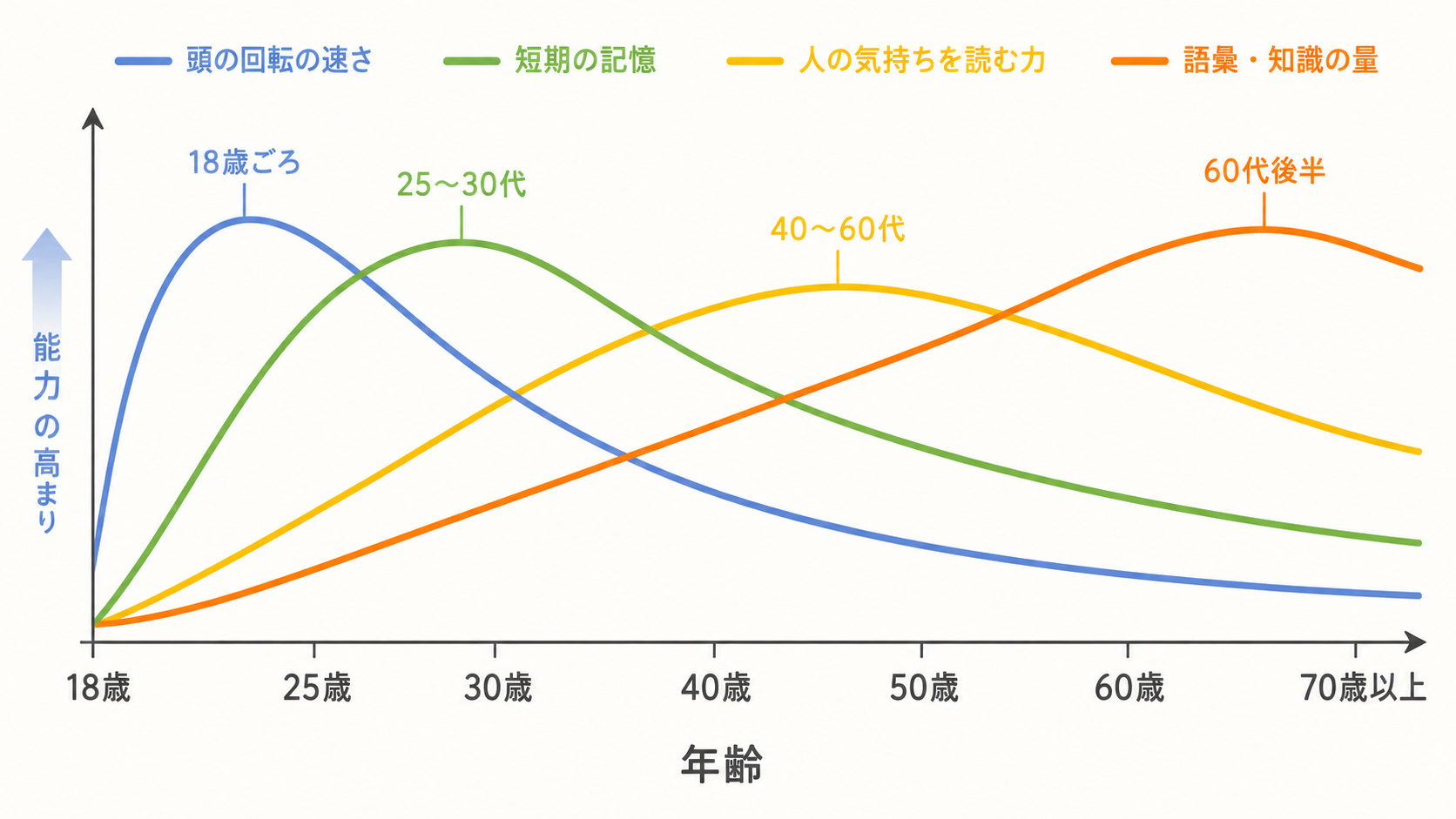 能力ごとに頂点の年齢がずれている4本の曲線のグラフ